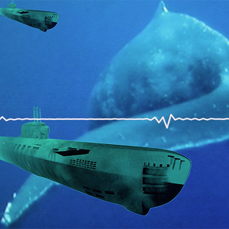 Fotomontage mit mehreren Walen und zwei U-Boot unter Wasser